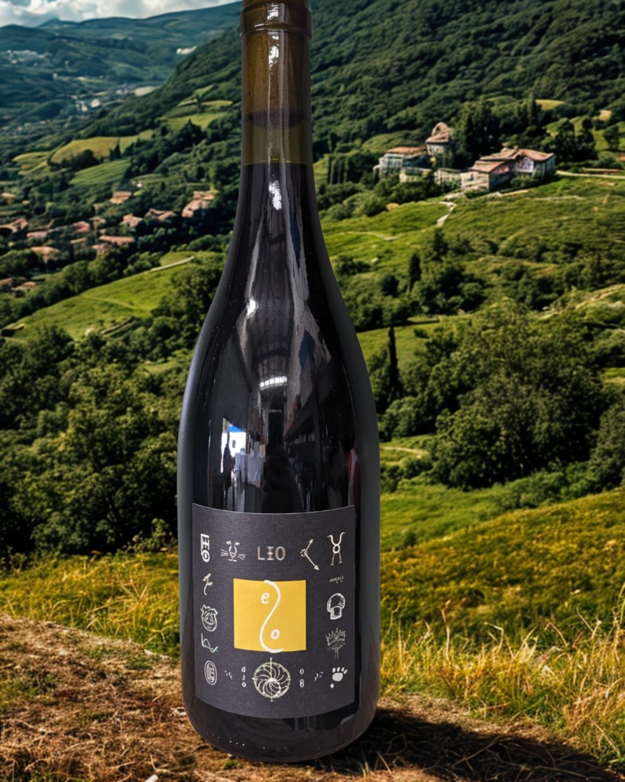 leo italian blend from sunday winemakers